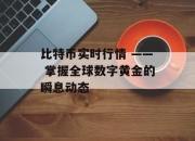 比特币实时行情 —— 掌握全球数字黄金的瞬息动态