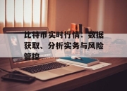 比特币实时行情：数据获取、分析实务与风险管控