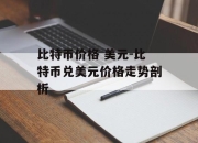 比特币价格 美元-比特币兑美元价格走势剖析