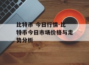 比特币 今日行情-比特币今日市场价格与走势分析
