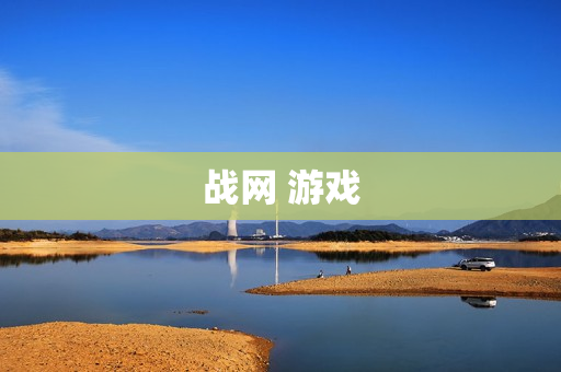 战网 游戏