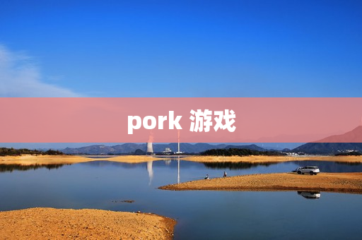 pork 游戏