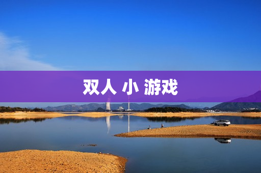双人 小 游戏