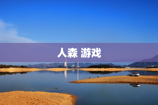 人森 游戏