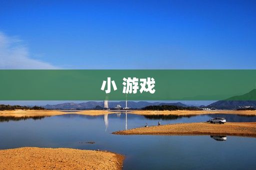 小 游戏