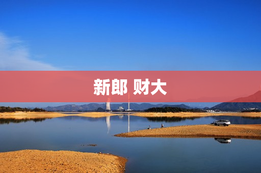 新郎 财大