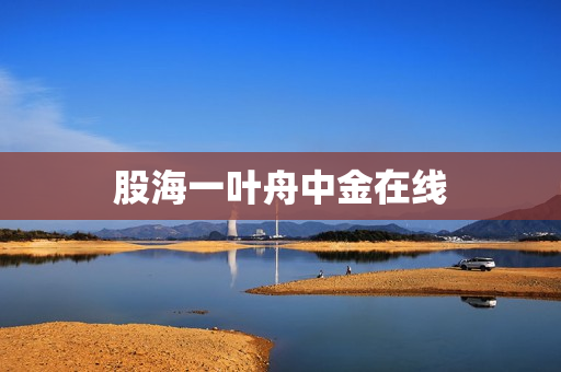 股海一叶舟中金在线 股海一叶舟中金在线