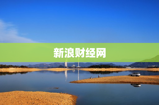 新浪财经网