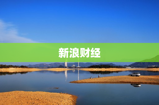 新浪财经 新浪财经