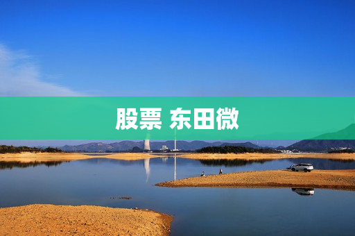 股票 东田微 股票 东田微
