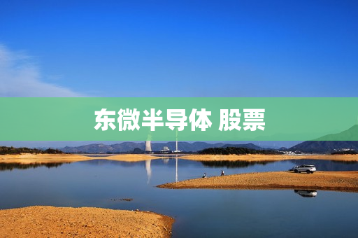 东微半导体 股票 东微半导体 股票