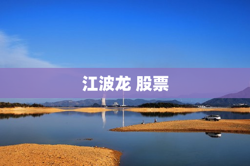 江波龙 股票