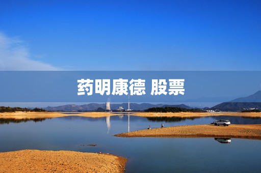 药明康德 股票