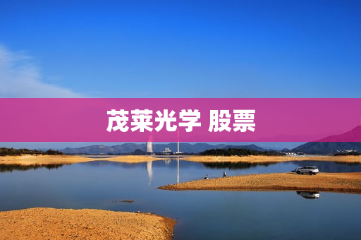 茂莱光学 股票