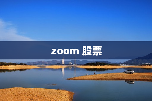 zoom 股票