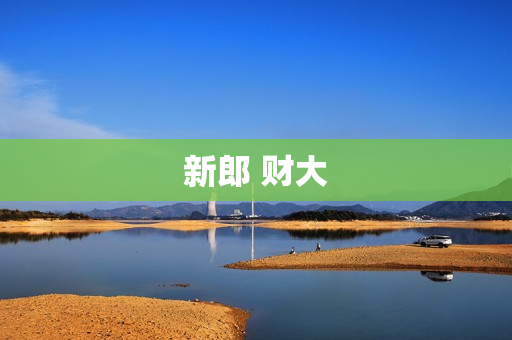 新郎 财大