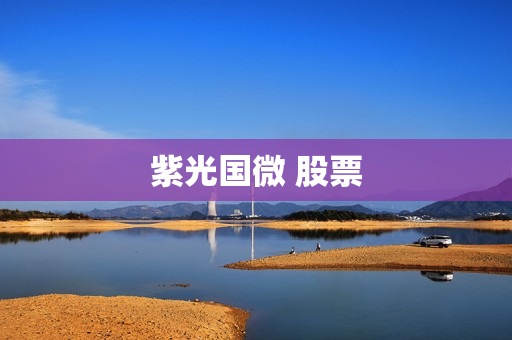 紫光国微 股票 紫光国微 股票