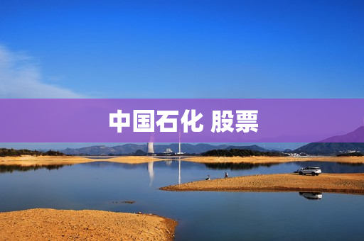 中国石化 股票