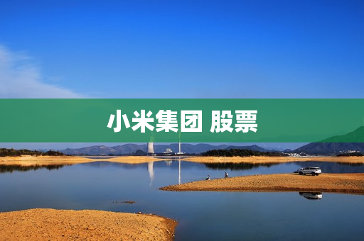 小米集团 股票 小米集团 股票