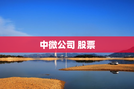 中微公司 股票 中微公司 股票