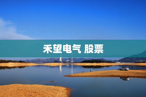 禾望电气 股票 禾望电气 股票