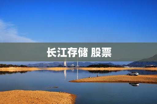 长江存储 股票