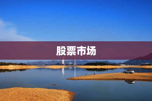 股票市场 股票市场