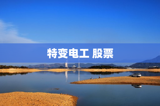 特变电工 股票 特变电工 股票