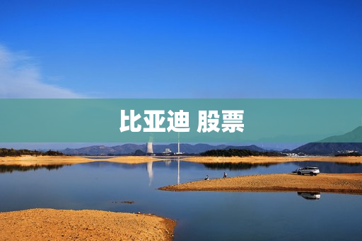 比亚迪 股票 比亚迪 股票