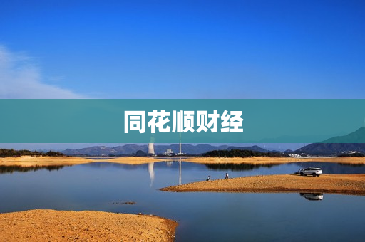 同花顺财经 同花顺财经
