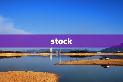 stock
