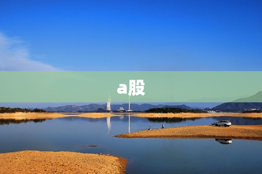 a股