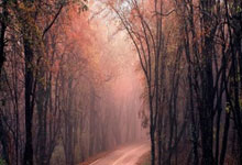 比特币行情最新价格-比特币实时行情价格动态解析