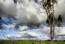 bt币-BT币:数字加密货币的探索