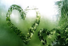 比特币今日实时价格-比特币今日实时价格动态全解析