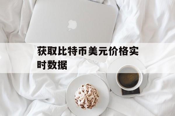 获取比特币美元价格实时数据 获取比特币美元价格实时数据